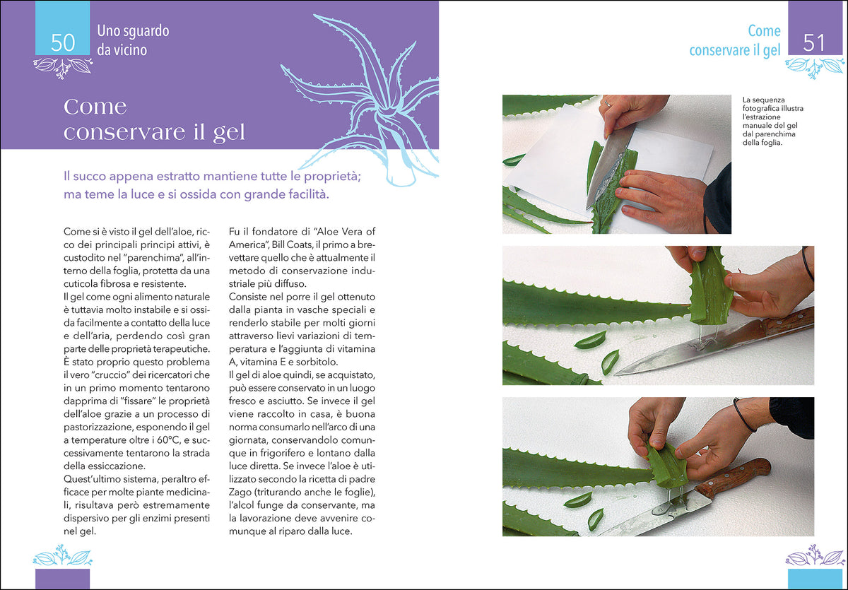 Aloe. La pianta che cura: virtù, proprietà e applicazioni terapeutiche