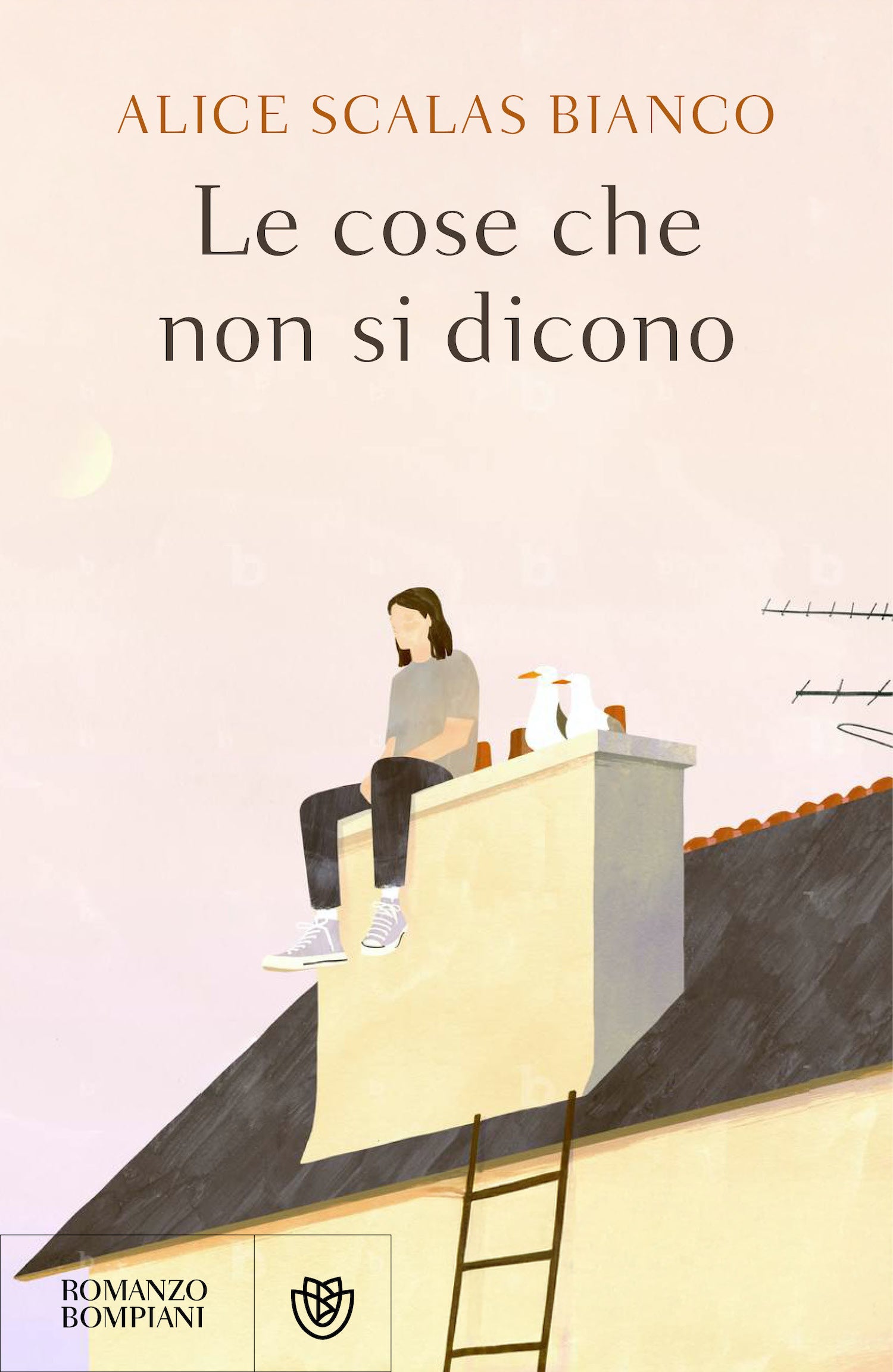 Le cose che non si dicono