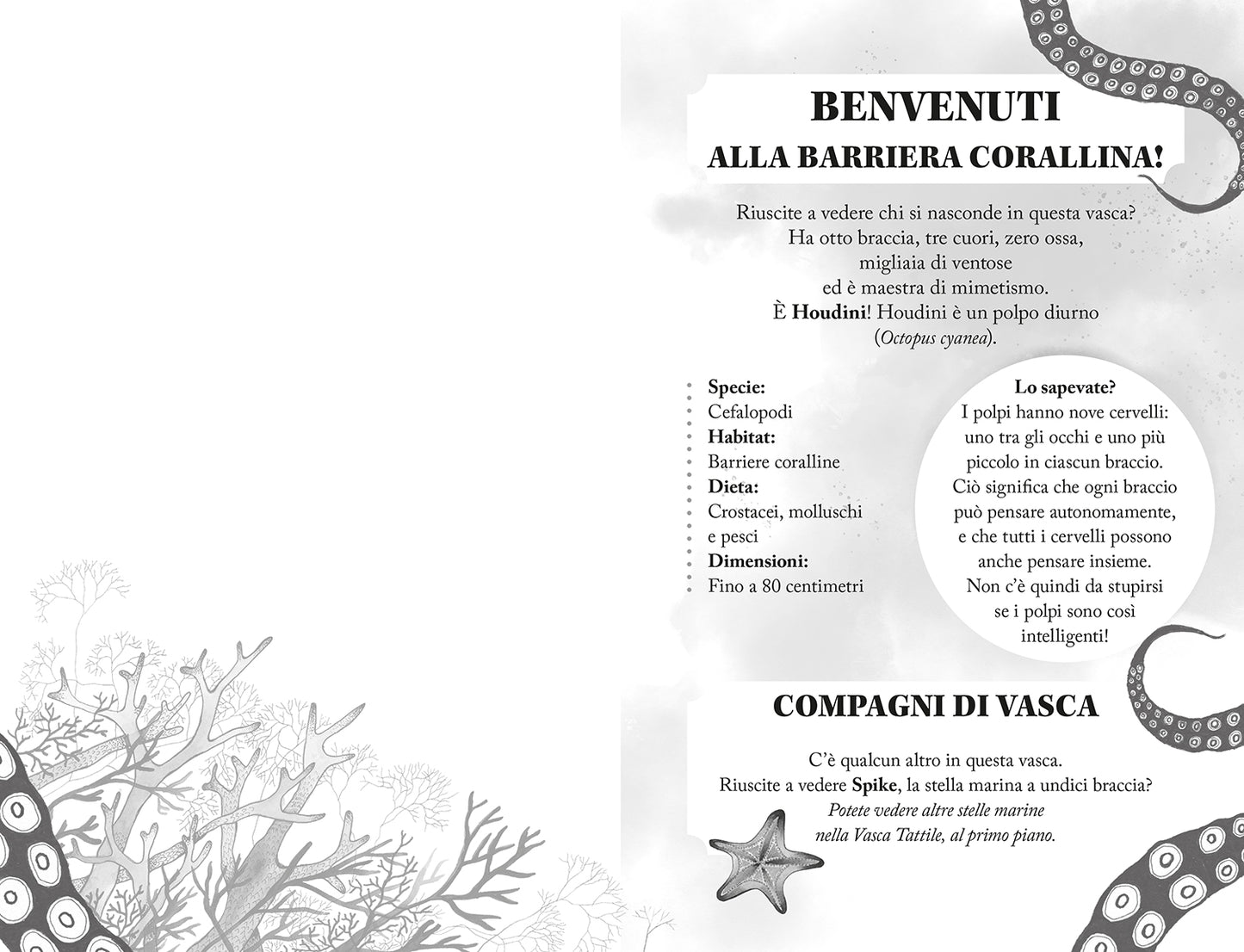 Il canto dei mille mari