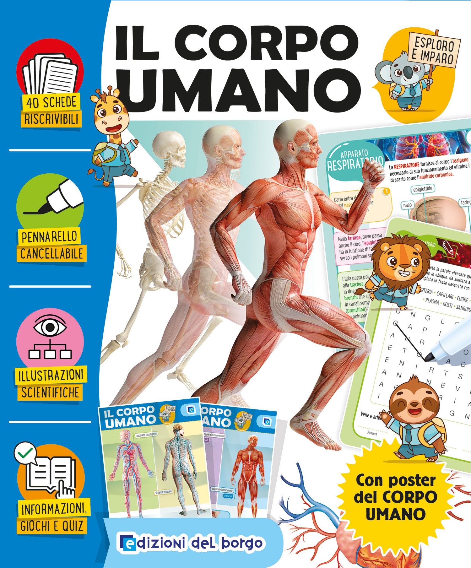 Il corpo umano