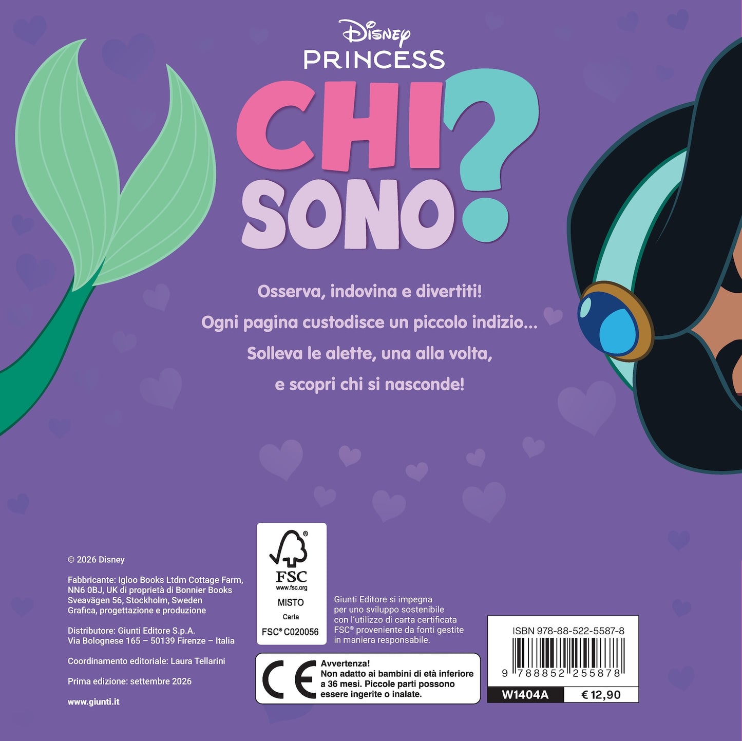 Chi sono? Disney Princess. Pagine giganti da scoprire