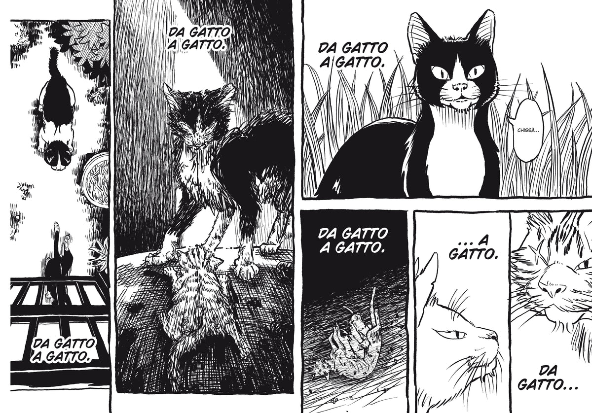 RANDAGI - VITA DA GATTI VOL. 3