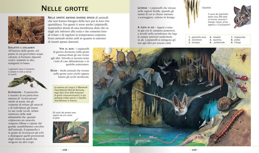 Enciclopedia illustrata degli animali