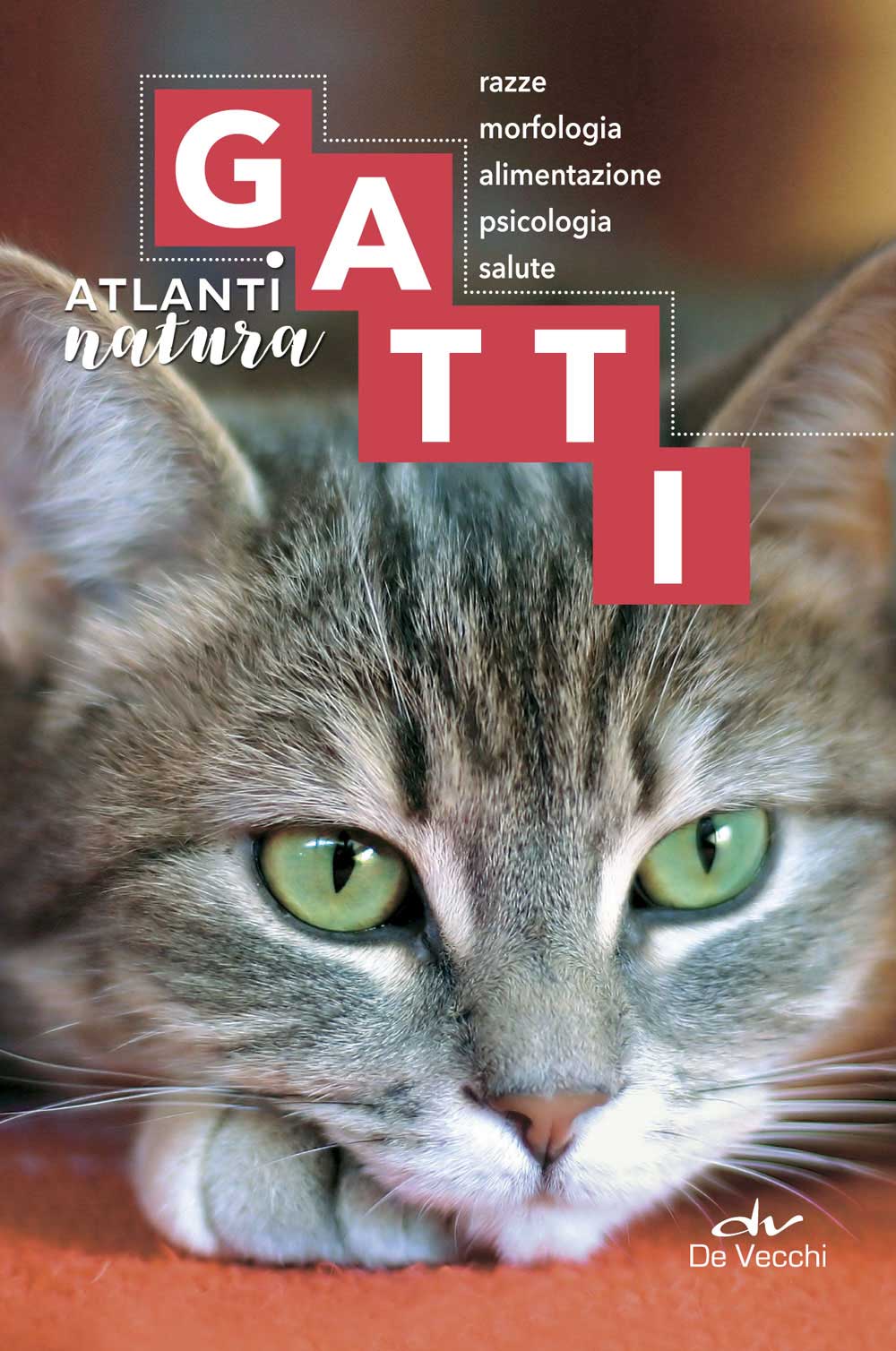 Gatti. razze, morfologia, alimentazione. psicologia, salute