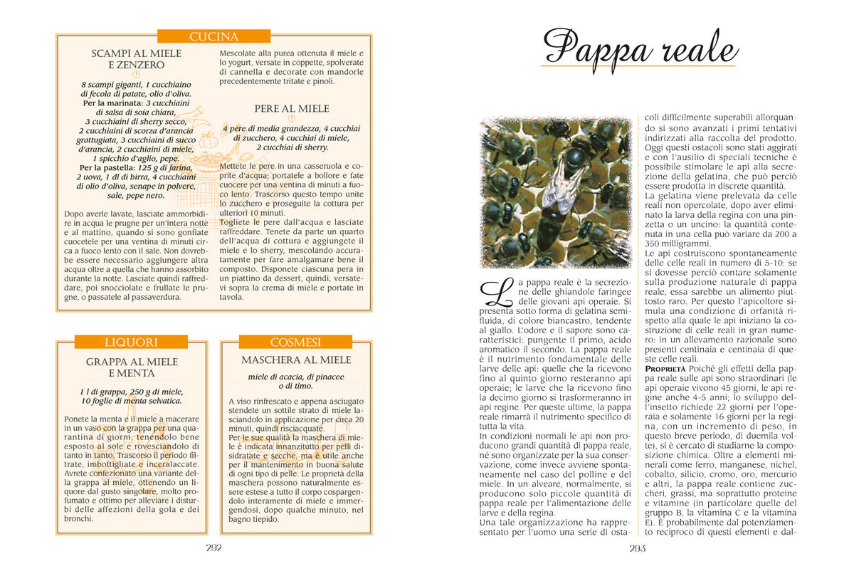 Erbe buone per la salute. Il ricettario completo