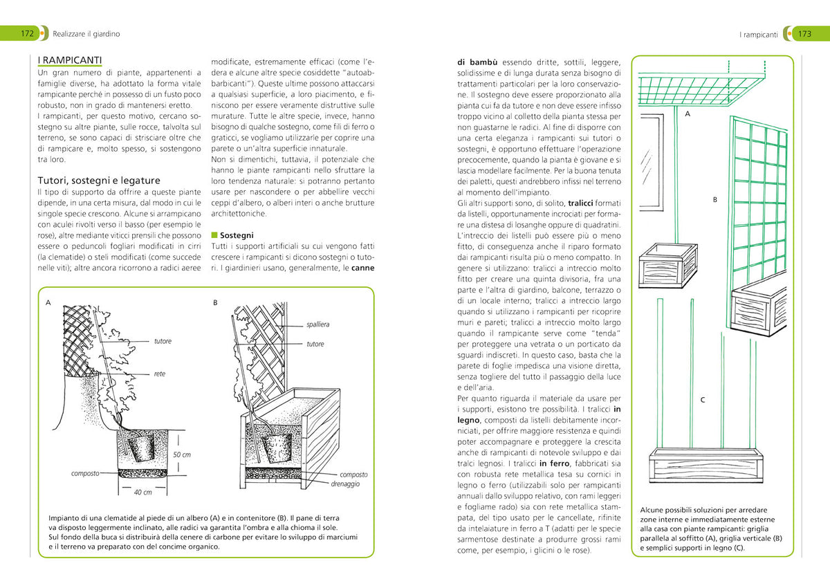 Orto, frutteto, giardino. Il manuale completo