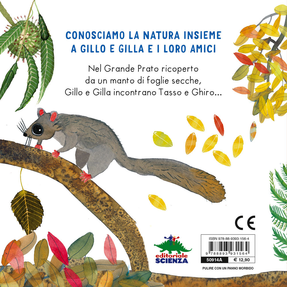 Il gioco del nascondino