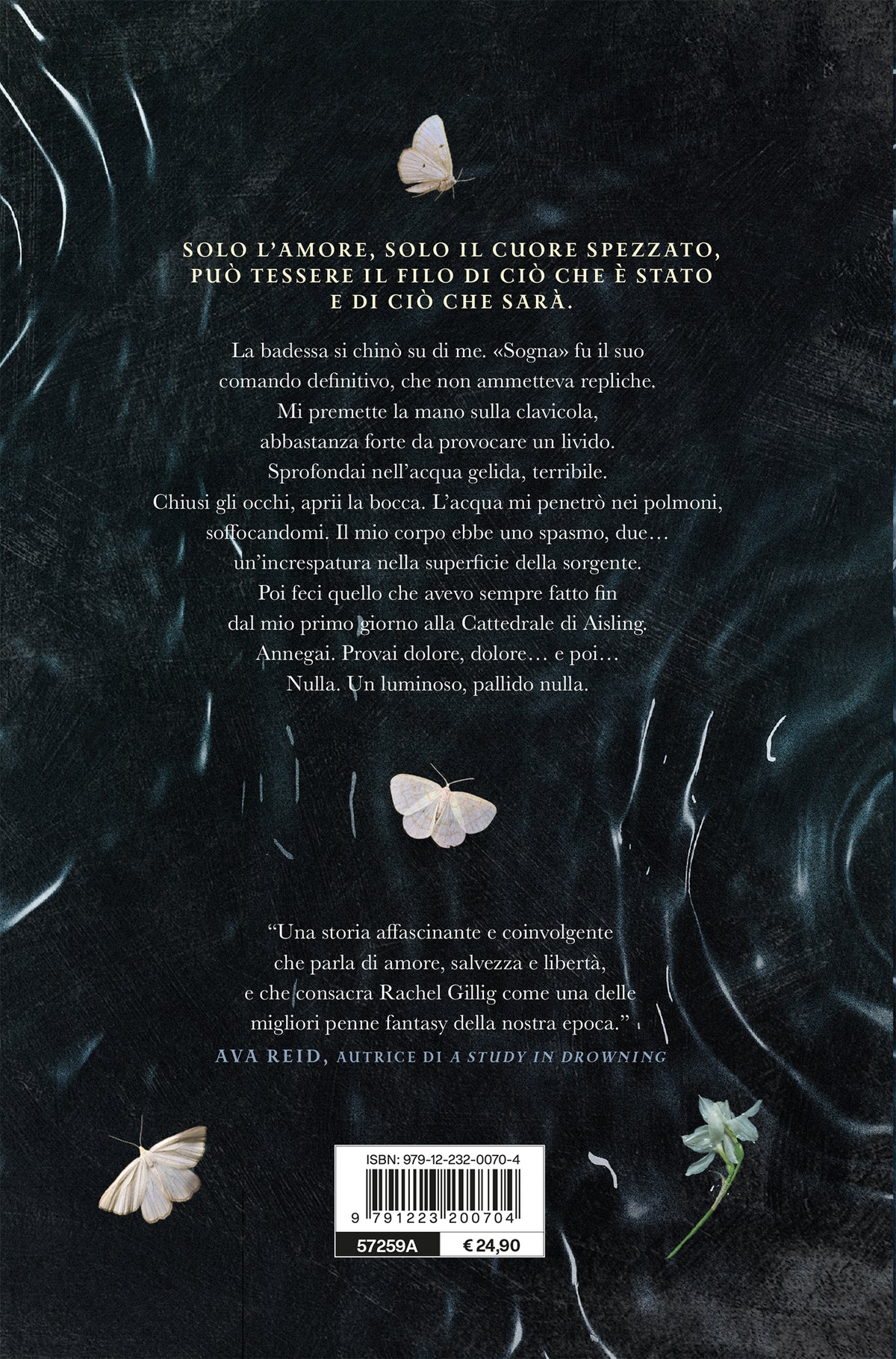 The Knight and the Moth