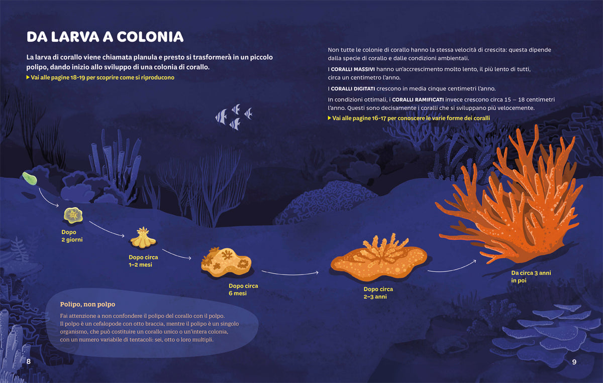Foreste coralline. Un tesoro marino da preservare