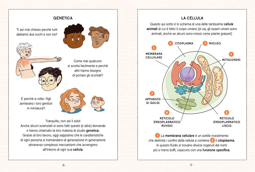 Sulle tracce del DNA
