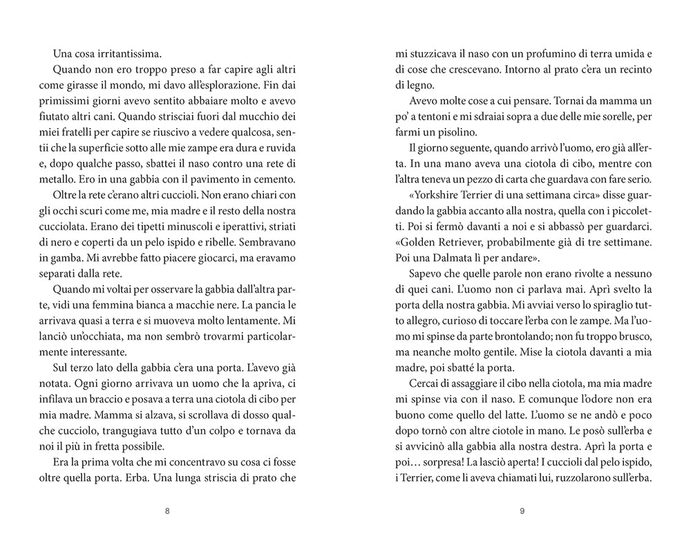 Storia di Bailey