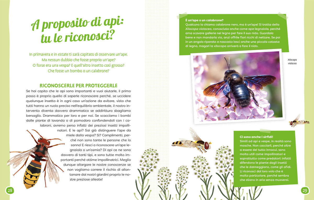 Api e fiori. Coltiviamo la bellezza difendendo la biodiversità