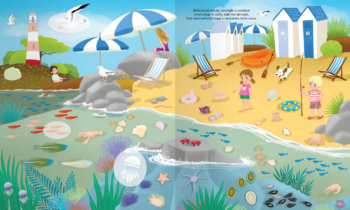 Il mare