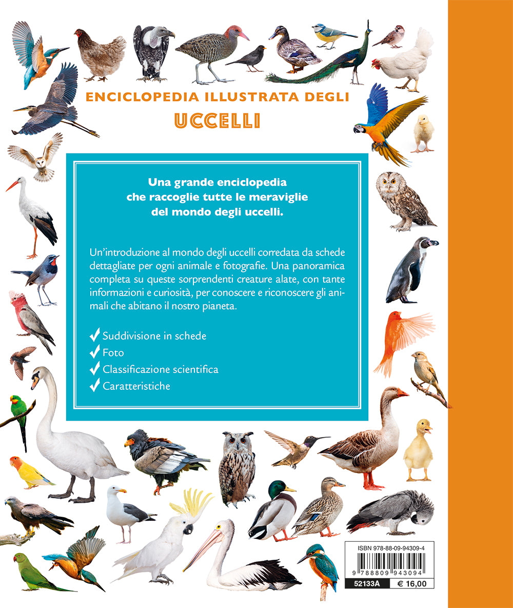 Uccelli