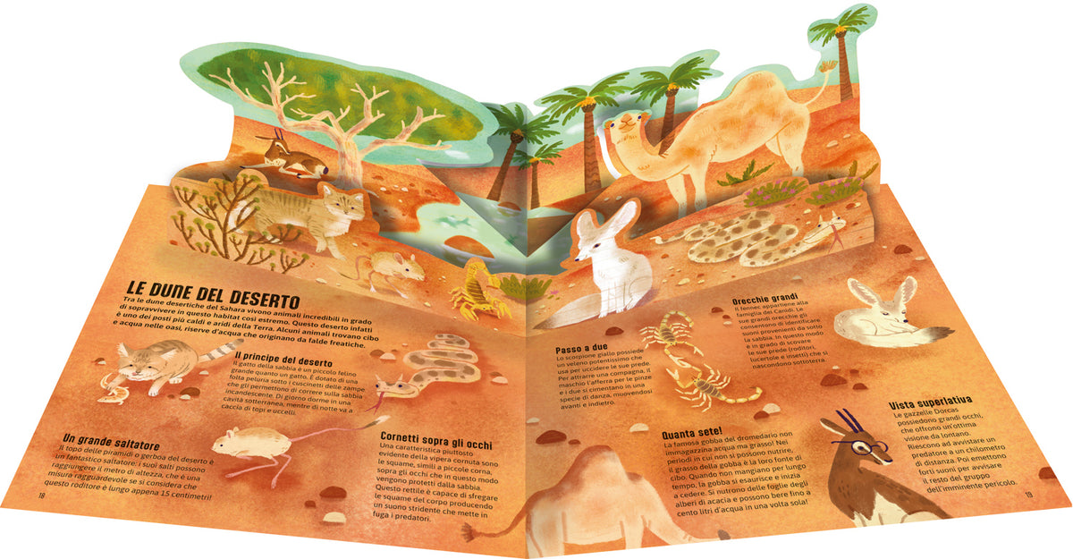 Case degli animali - Terra. Esplora gli habitat della ntura