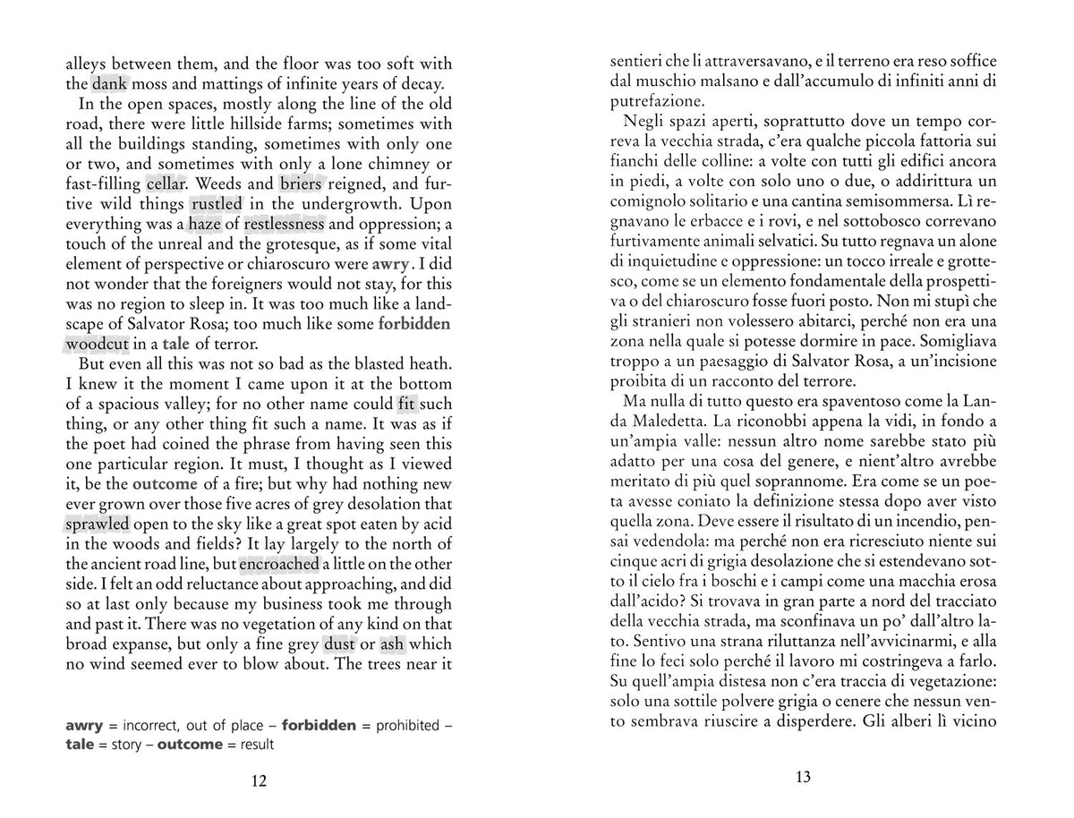 Horror Stories - Racconti dell'orrore. Con testo a fronte e note linguistiche