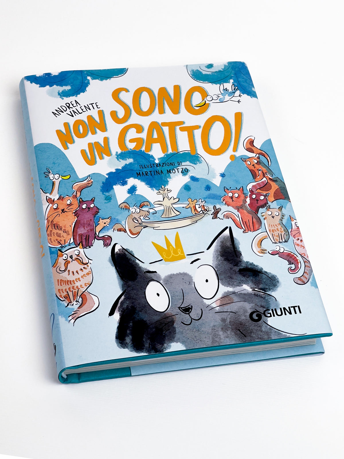 Non sono un gatto!