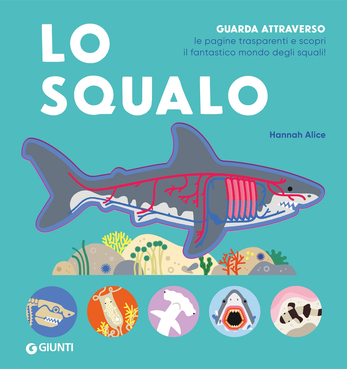 Lo squalo