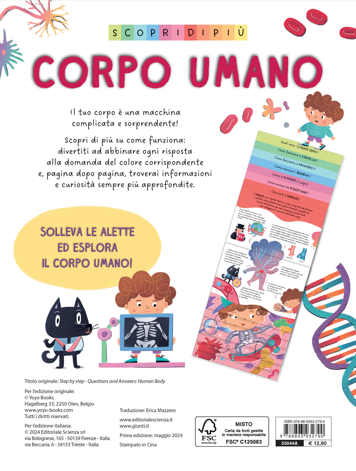 Scopri di più – Corpo umano
