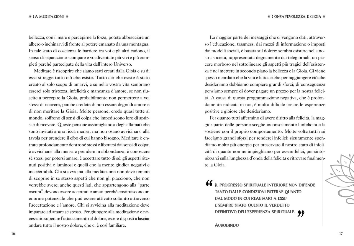 Meditazione. La riscoperta dell'armonia