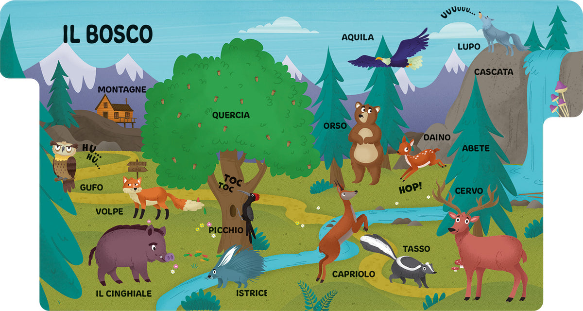 Il mondo degli animali