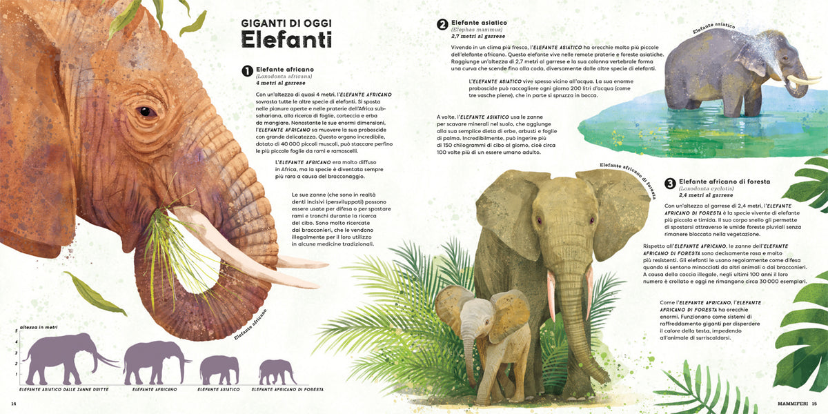 Mega. I più grandi animali di sempre!