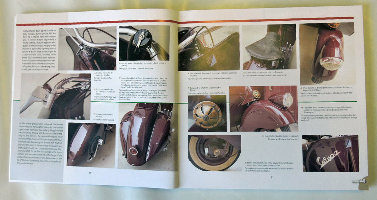 VESPA Guida illustrata all'identificazione/Illustrated guide to the identification . Guida illustrata all'identificazione/Illustrated guide to the identification