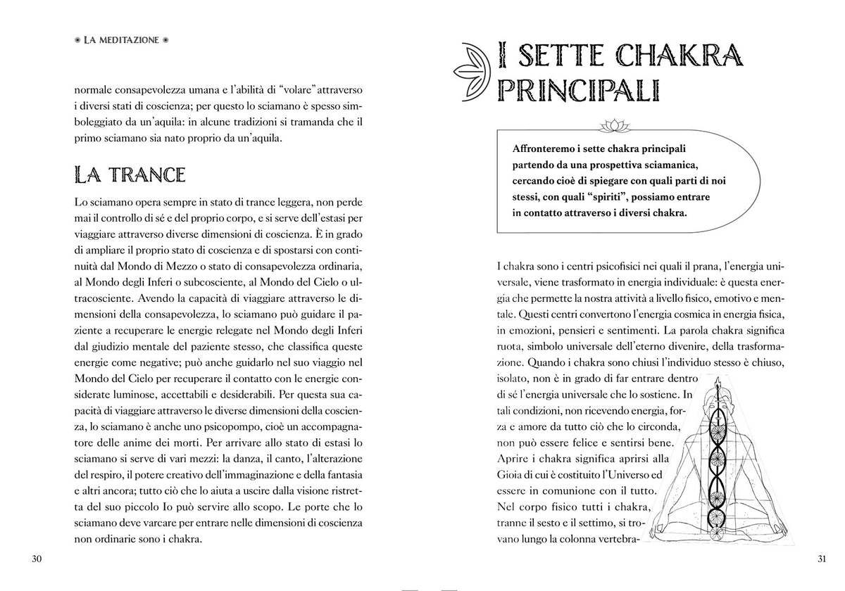 Meditazione. La riscoperta dell'armonia