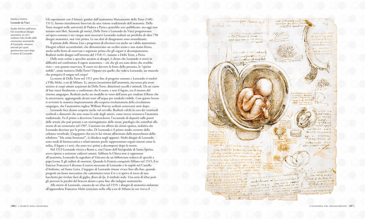 I segreti dell'anatomia. La scoperta del corpo umano nei secoli