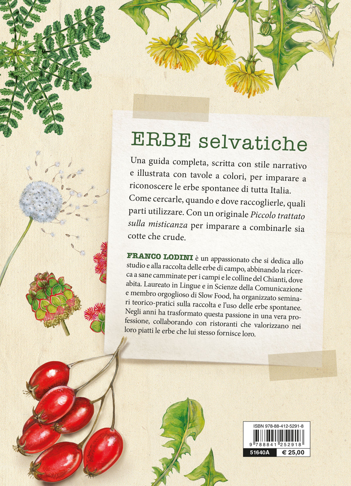 Erbe selvatiche. Riconoscimento - Raccolta - Usi gastronomici
