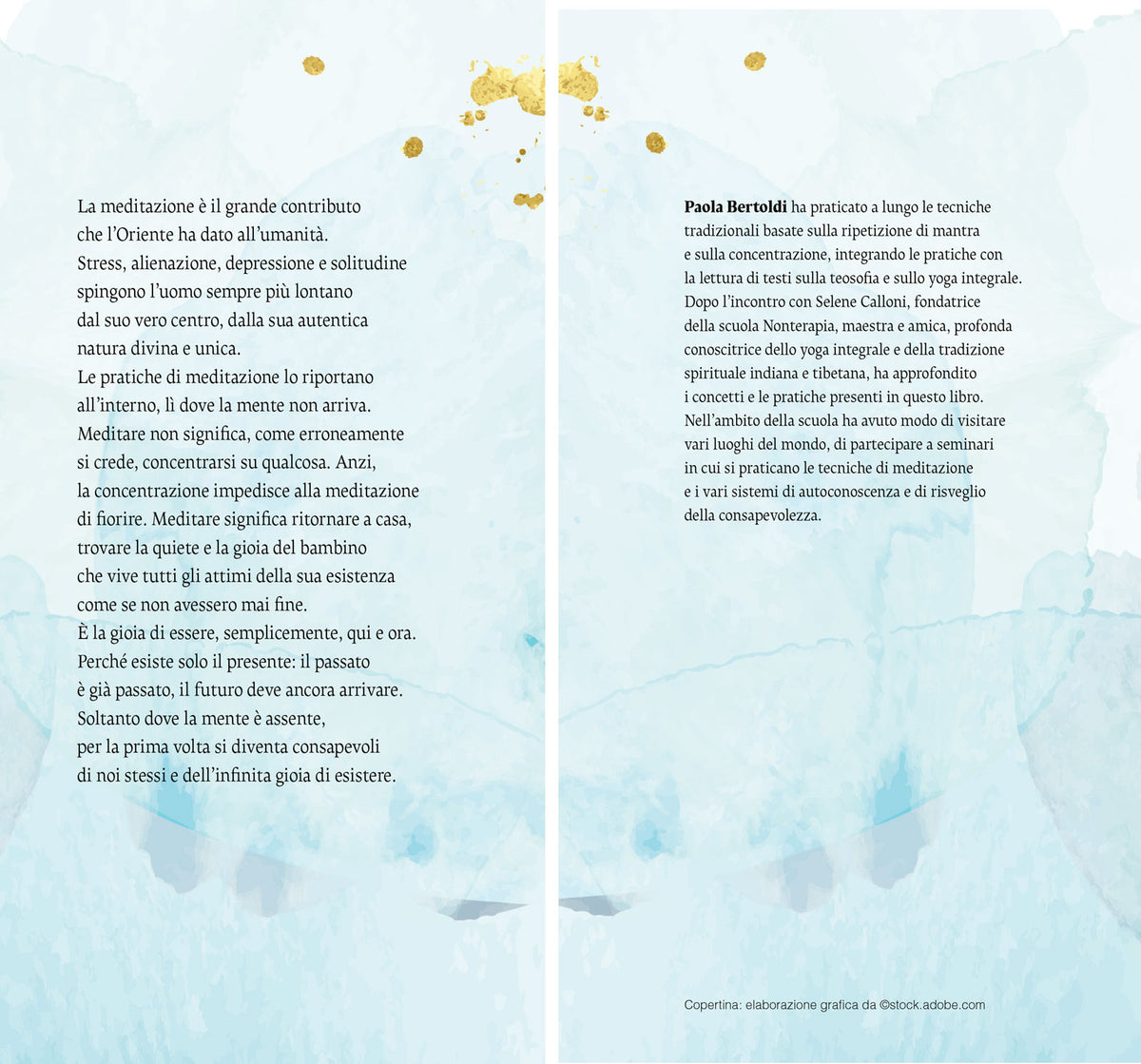 Meditazione. La riscoperta dell'armonia
