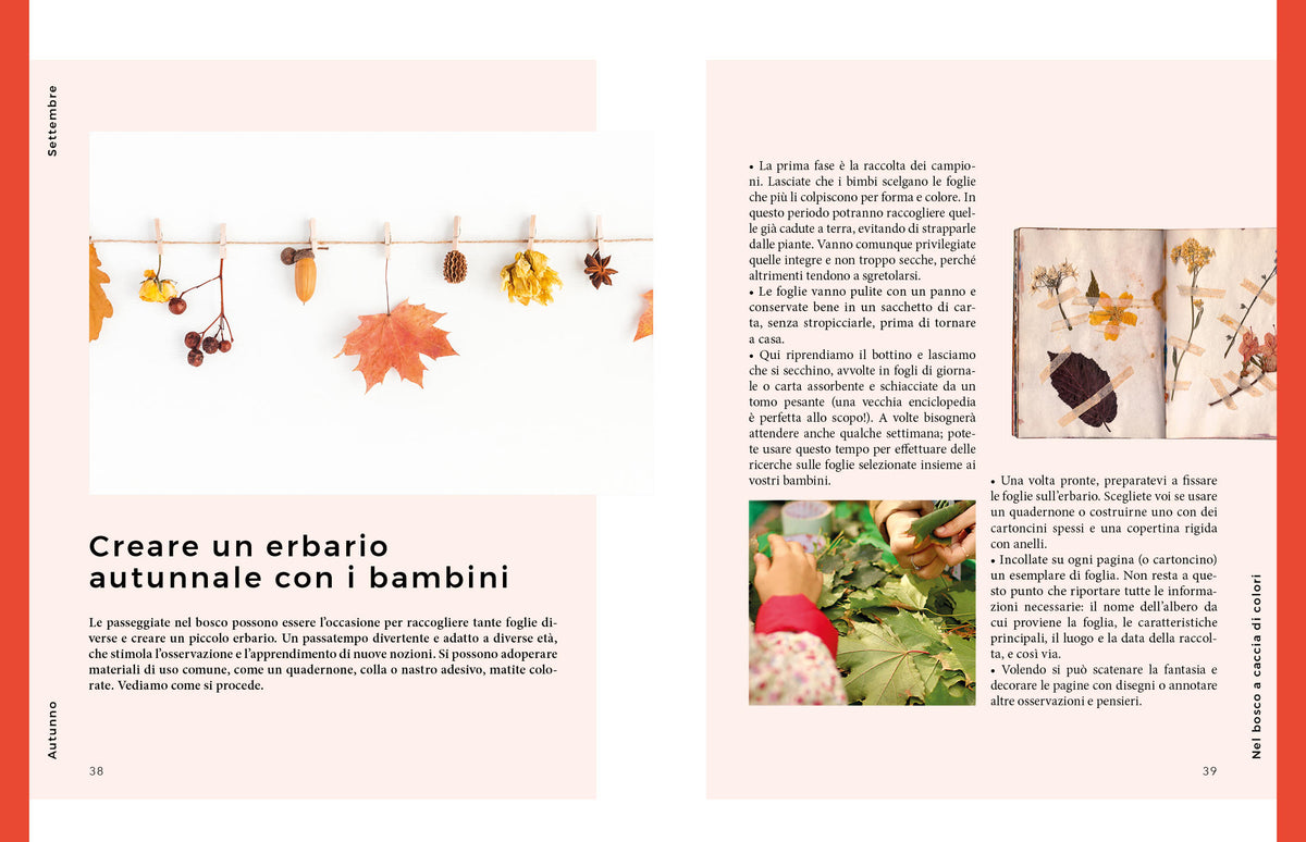 Autunno. Vita e cucina di stagione. Vita e cucina di stagione