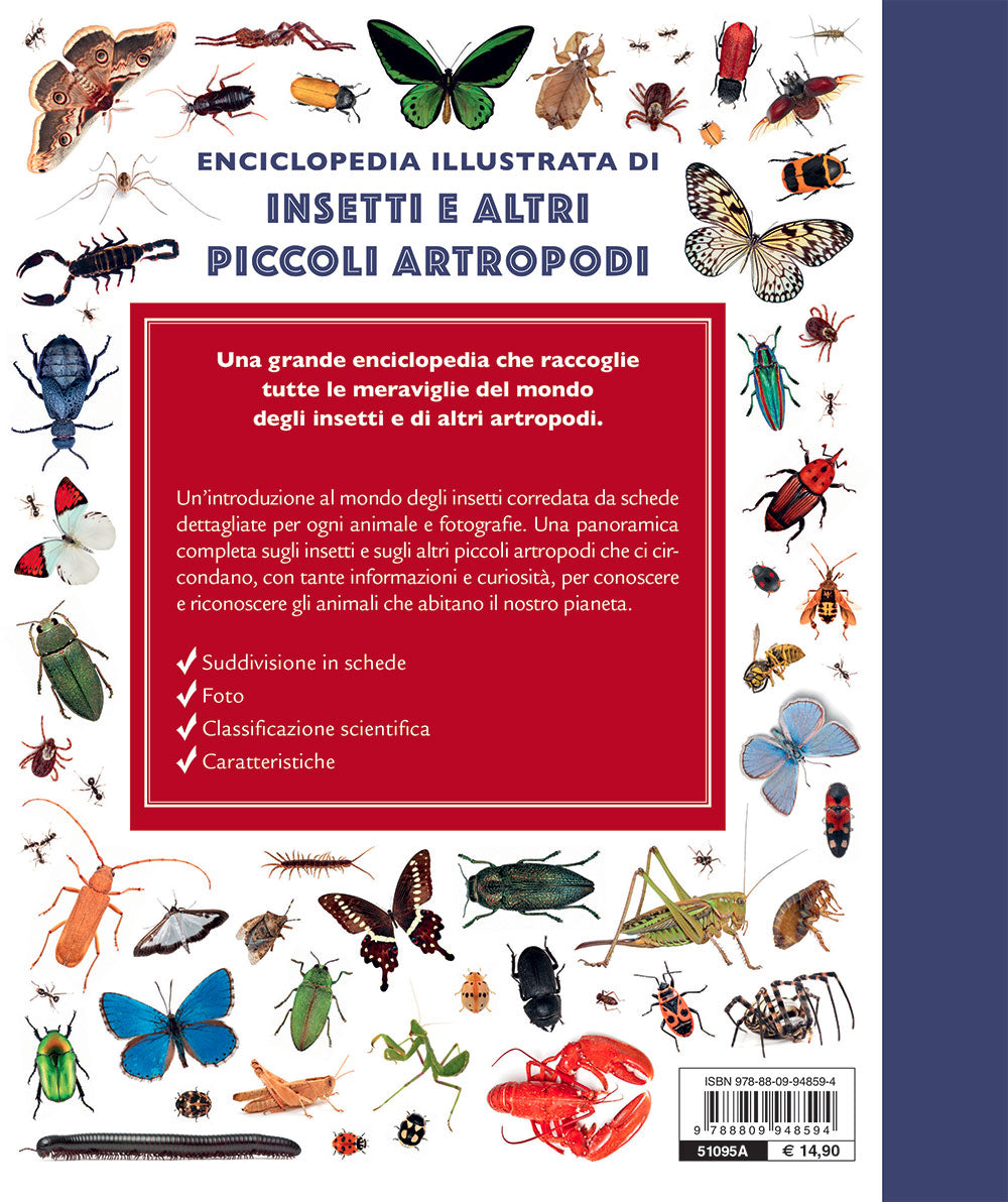 Insetti e altri piccoli artropodi