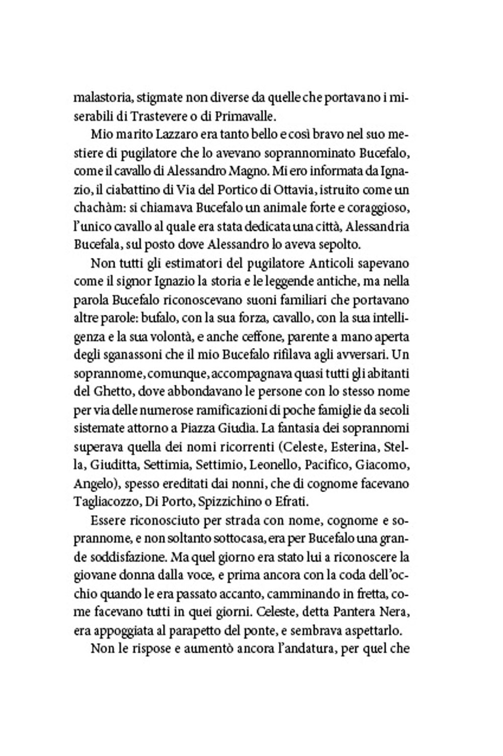 Stella di Piazza Giudia