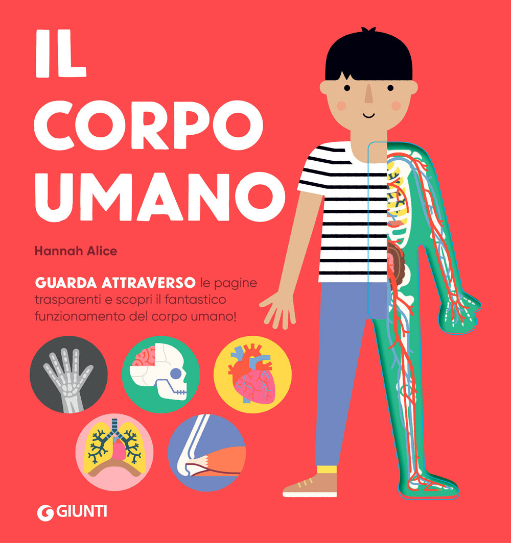 Il corpo umano. Guarda attraverso le pagine trasparenti e scopri il fantastico funzionamento del corpo umano!