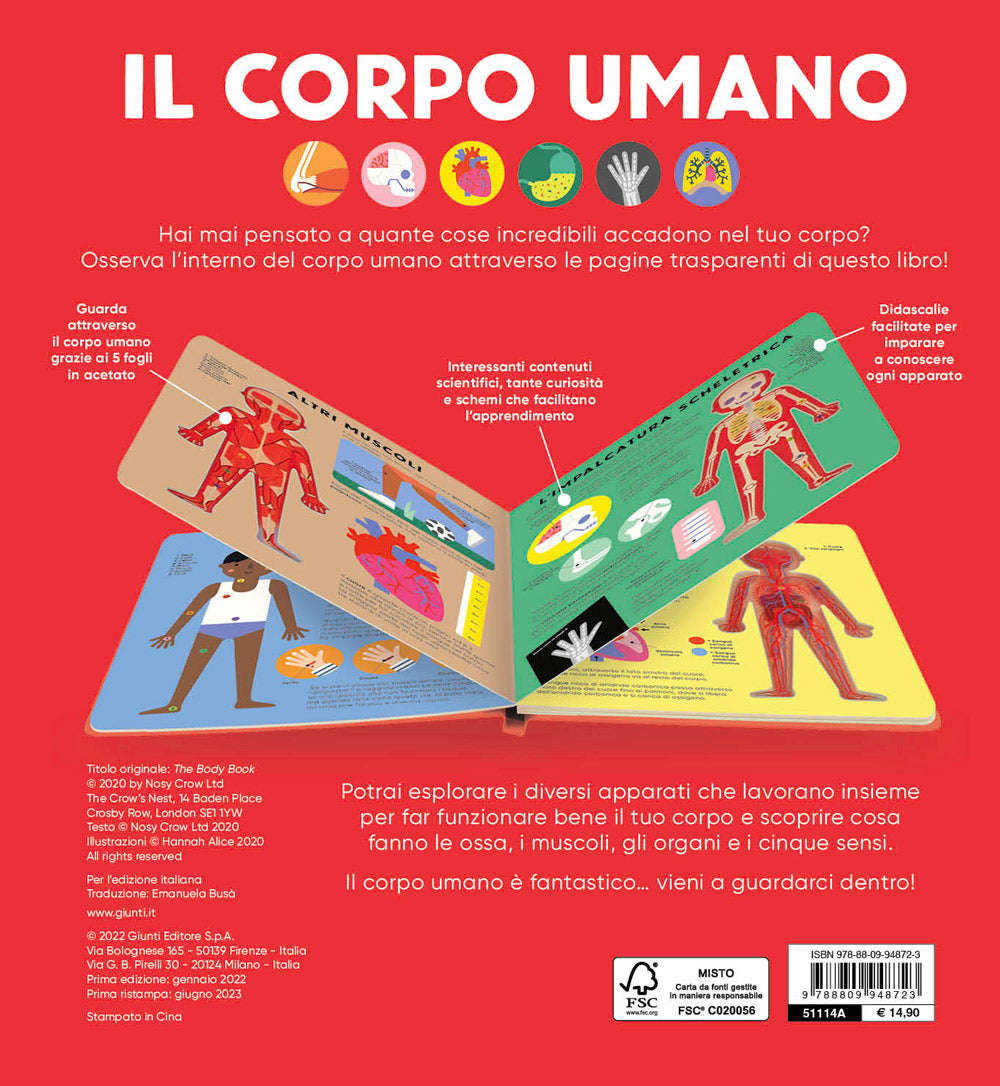 Il corpo umano. Guarda attraverso le pagine trasparenti e scopri il fantastico funzionamento del corpo umano!