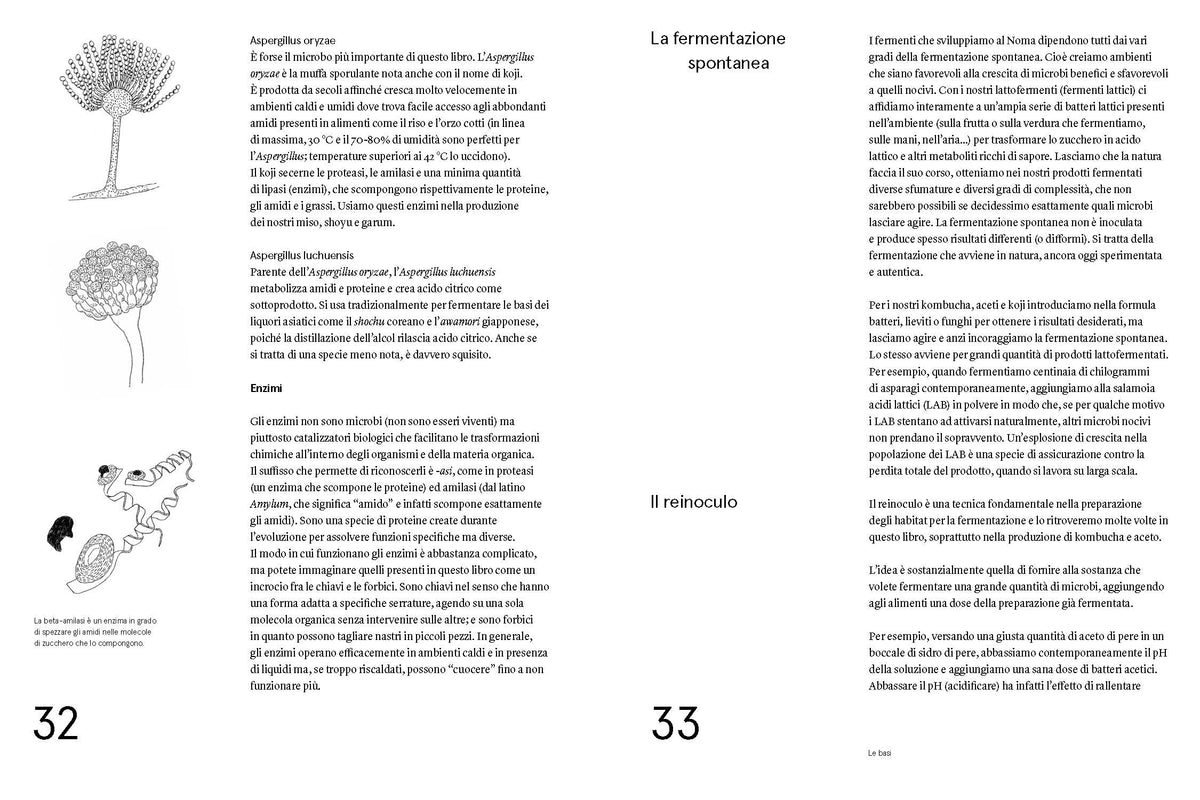 Noma. La guida alla fermentazione