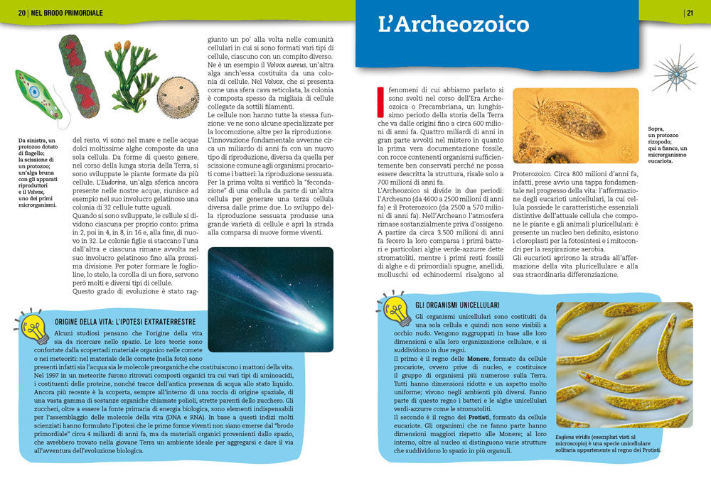 Preistoria. L'evoluzione della vita sulla Terra. Con tante immagini da ritagliare per le tue ricerche