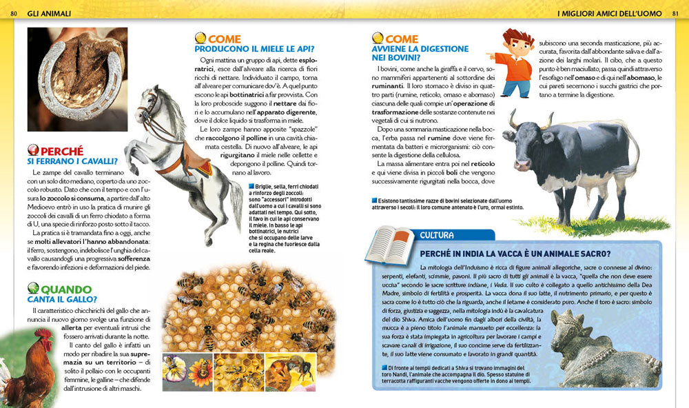 Il grande libro del come dove e quando