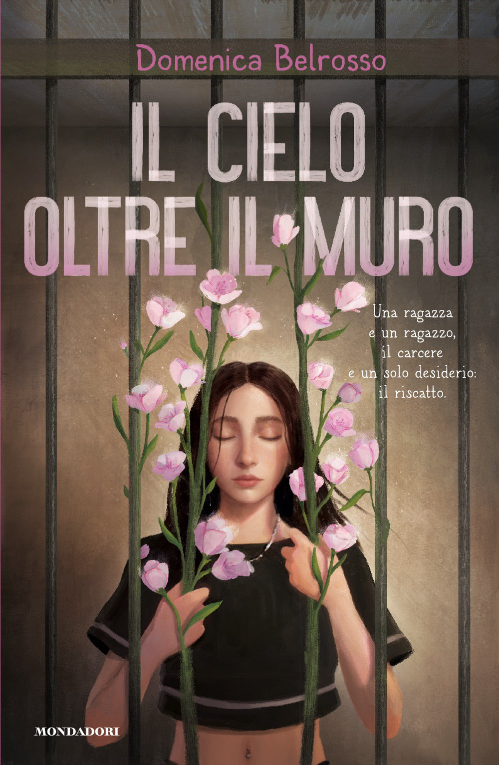 Il cielo oltre il muro