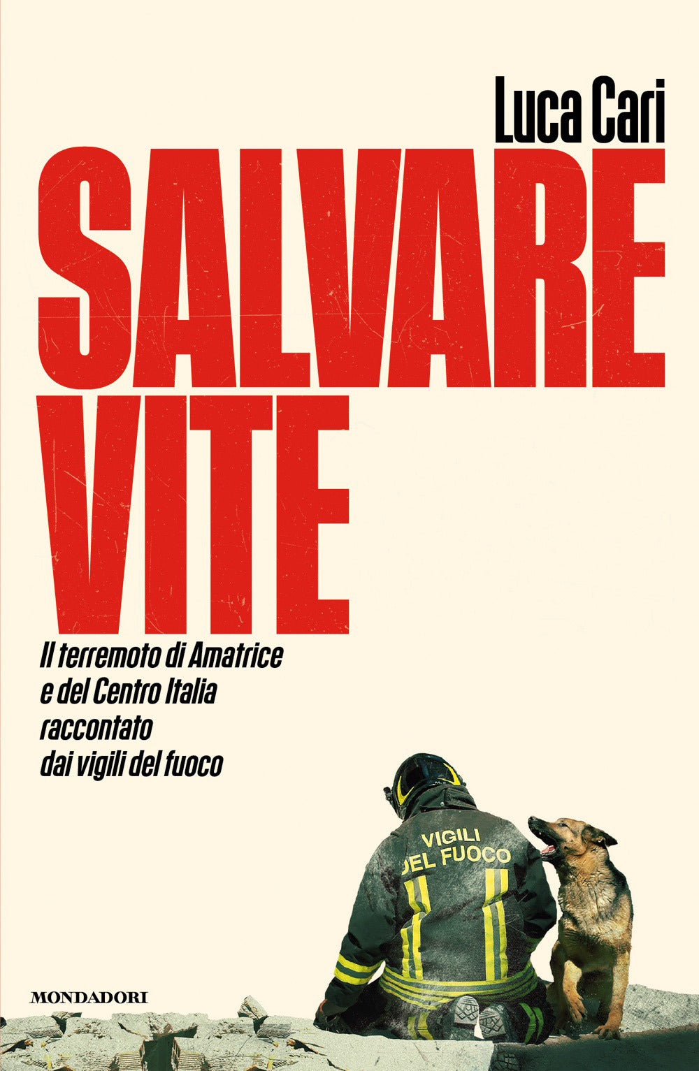 Salvare vite. Il terremoto di Amatrice e del Centro Italia raccontato dai vigili del fuoco