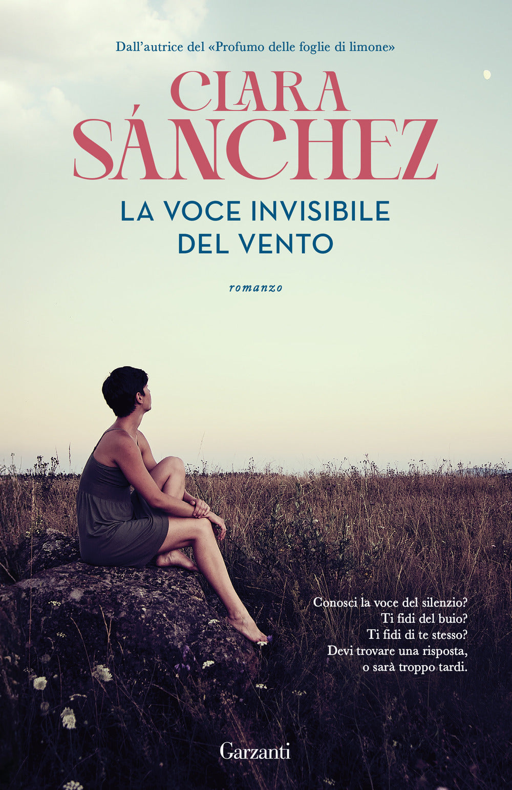 La voce invisibile del vento