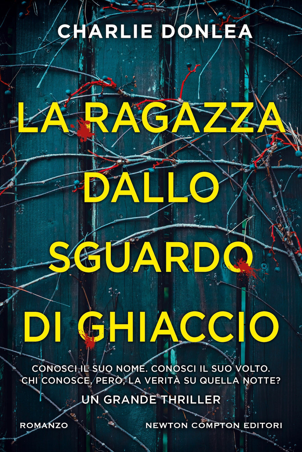 La ragazza dallo sguardo di ghiaccio