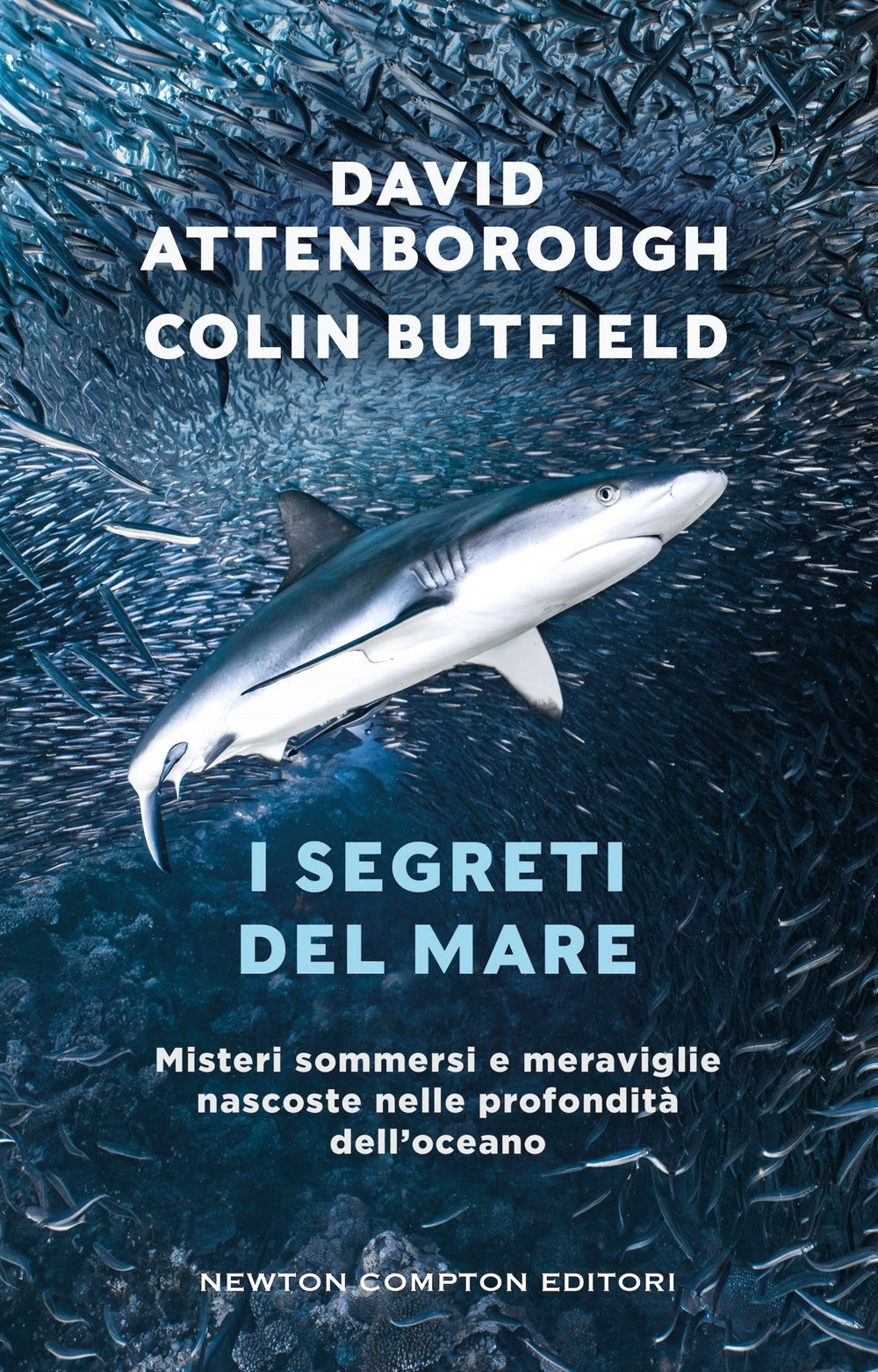 I segreti del mare. Misteri sommersi e meraviglie nascoste nelle profondità dell'oceano