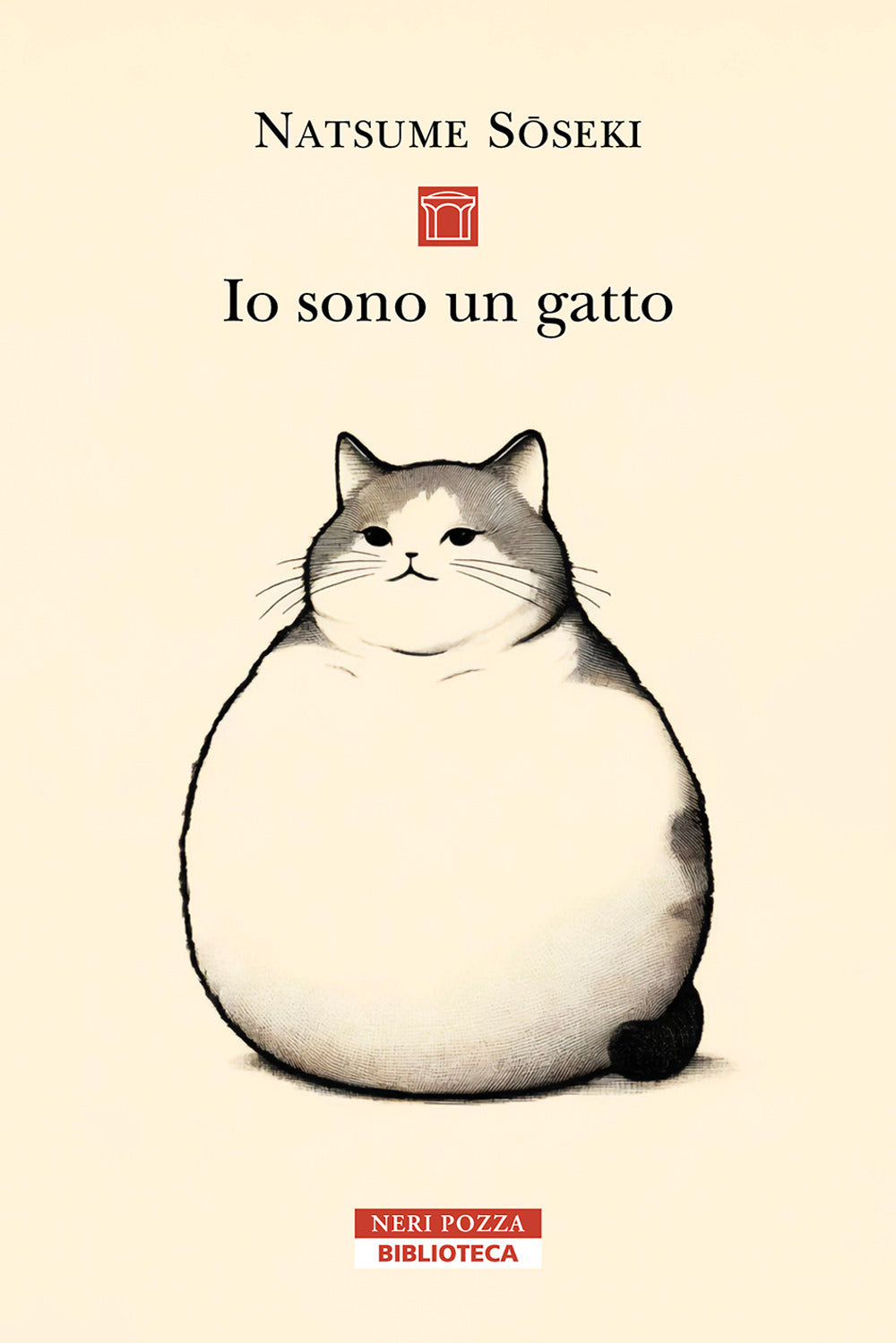 Io sono un gatto