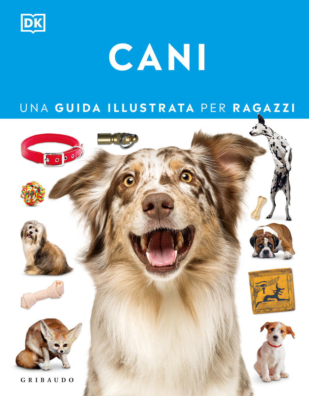 Cani. Una guida illustrata per ragazzi