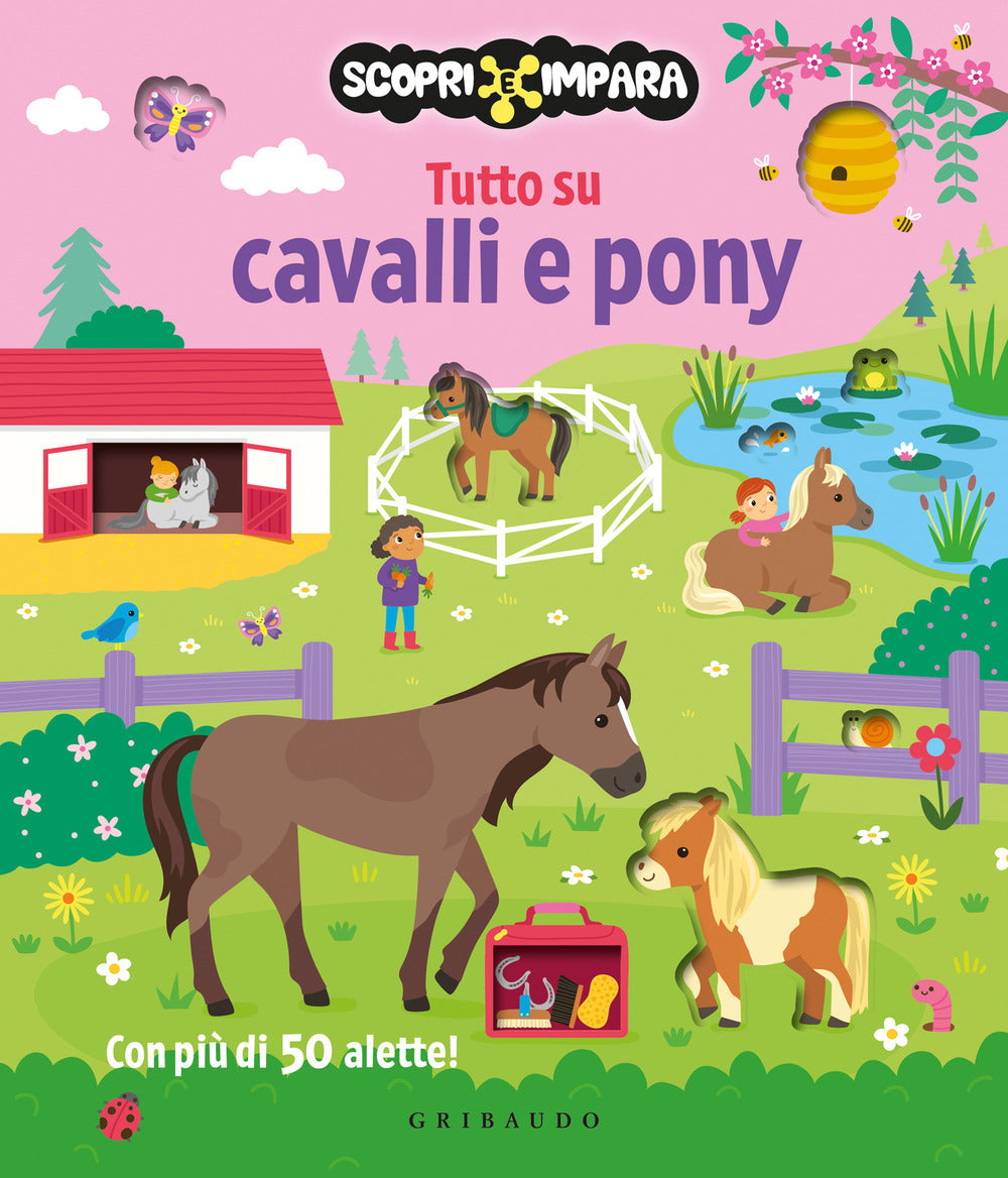 Tutto su cavalli e pony. Scopri e impara