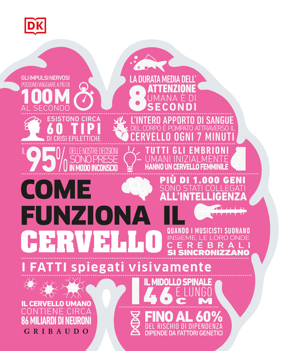Come funziona il cervello. I fatti spiegati visivamente