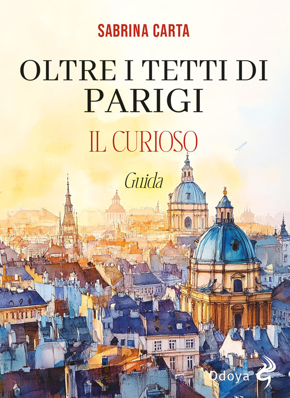 Oltre i tetti di Parigi. Il curioso
