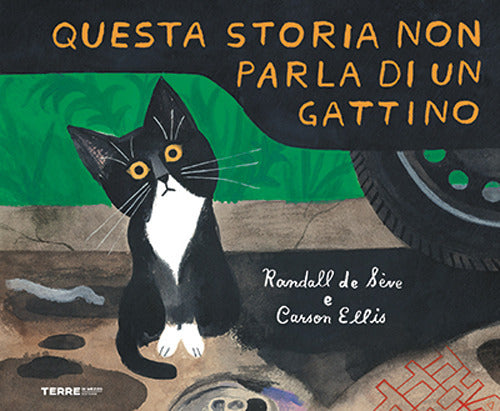 Questa storia non parla di un gattino